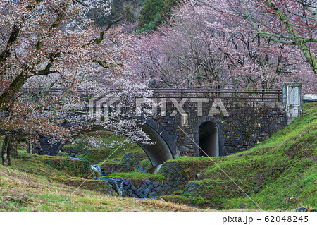 霞間ヶ渓の桜 62048245