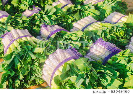 Fresh leek in net bags ready for sale. Harvest. Harvesting. Agriculture and farming. Freshly picked. Agribusiness. Agro industry. Growing Organic Vegetables 62048460
