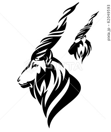 Markhor Mountain Goat Black Vector Profile Headのイラスト素材