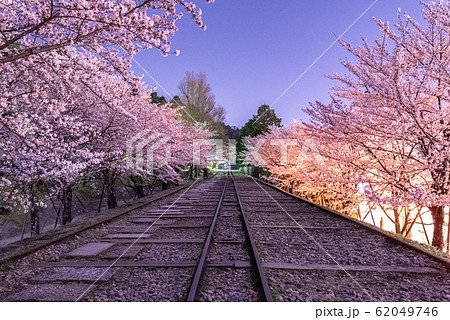 《京都》蹴上インクラインに咲く桜 62049746