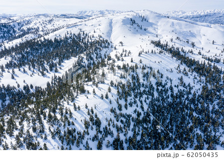 An aerial view of a Trees in the forest and mountains with covered snow. An aerial view of a Trees in the forest and mountains with covered snow. 62050435