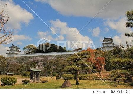 明石城跡の桜 明石城跡の桜 62051439