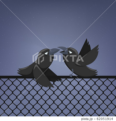 Ravens on a fence 62051914