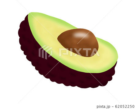 アボカド(主線なし) アボカド(主線なし) 62052250