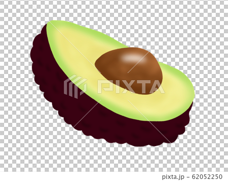 アボカド(主線なし) アボカド(主線なし) 62052250