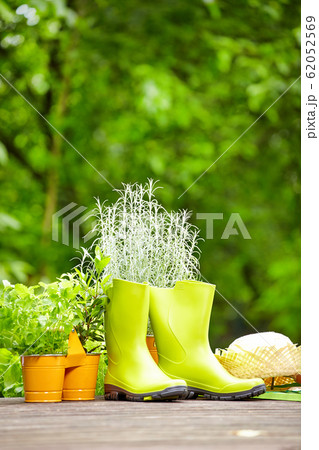 Rubber boots in wood terrace Rubber boots in wood terrace 62052569