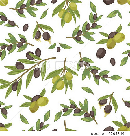 Olives black and green, twigs leaves and fruits of Olea europaea seamless pattern vector illustration. Olives black and green, twigs leaves and fruits of Olea europaea seamless pattern vector illustration. 62053444