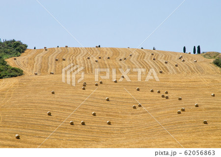 Tuscany hills panorama summer view, Italian Tuscany hills panorama summer view, Italian 62056863