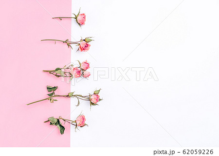 Frame of dried rose flowers on white and pink Frame of dried rose flowers on white and pink 62059226