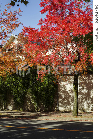 紅葉する街角 紅葉する街角 62062760
