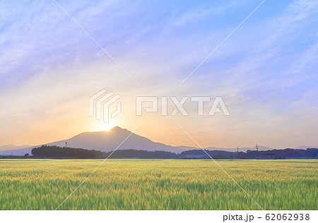 ダイヤモンド筑波山 麦畑 ダイヤモンド筑波山 麦畑 62062938