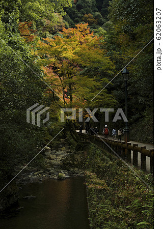 明治の森箕面国定公園・紅葉と滝道の風景 明治の森箕面国定公園・紅葉と滝道の風景 62063207