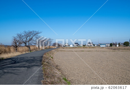 伊佐沼 冬景色 湖畔 埼玉県川越市 伊佐沼 冬景色 湖畔 埼玉県川越市 62063617