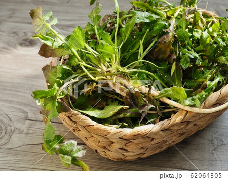 野菜 葉 わさび 62064305
