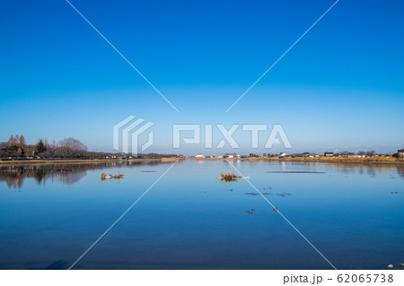 伊佐沼 冬景色　埼玉県川越市 62065738