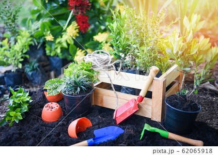 Gardening tools on soil background ready to 62065918
