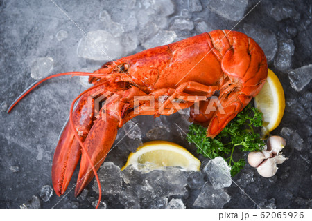 Fresh lobster food on a black plate background - Fresh lobster food on a black plate background - 62065926