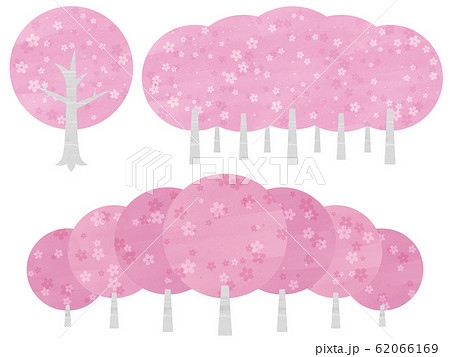 桜の木のワンポイントセット 桜の木のワンポイントセット 62066169