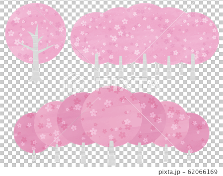 桜の木のワンポイントセット 桜の木のワンポイントセット 62066169
