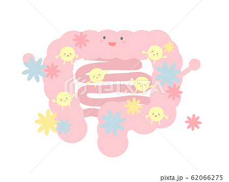 腸内フローラ 62066275