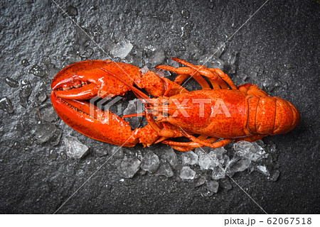 Lobster seafood shrimp prawn with ice on dark 62067518