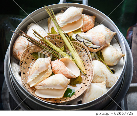 Conch shell steamed with herb spices on steaming 62067728