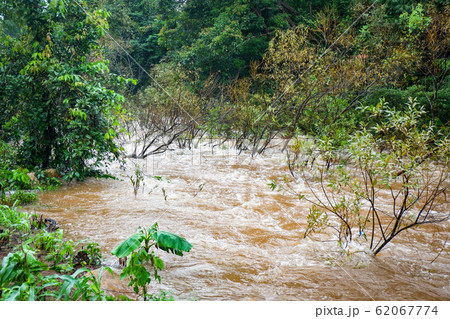 Water flood on river after heavy rain rapids water 62067774