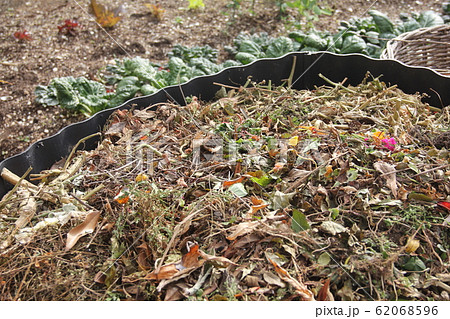 庭の一角の堆肥槽で家庭ゴミの堆肥化 庭の一角の堆肥槽で家庭ゴミの堆肥化 62068596
