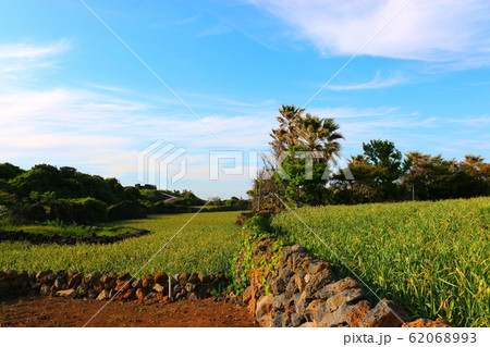 風景 観光 風 62068993