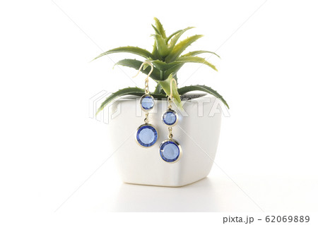 植木にピアス 62069889