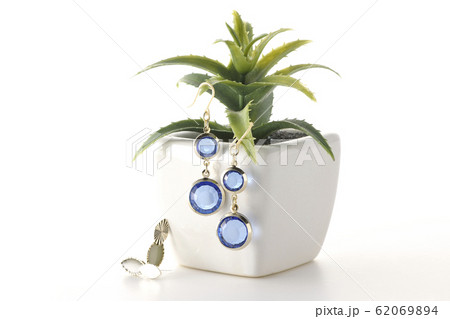 植木にピアス 62069894