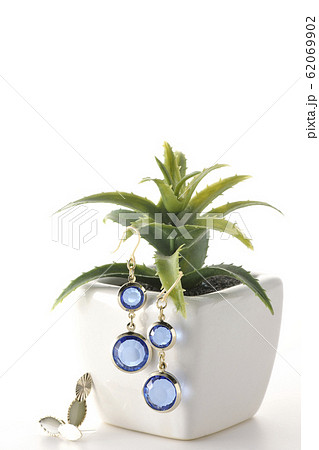 植木にピアス 植木にピアス 62069902