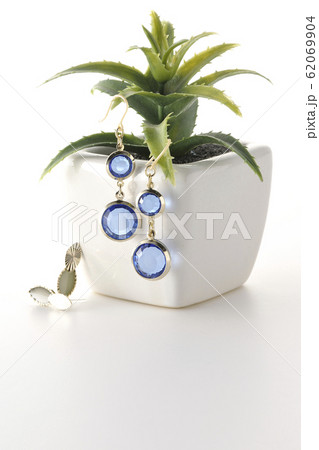 植木にピアス 62069904