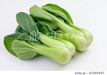 チンゲン菜 62069997