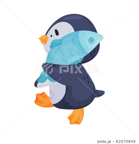 Penguin Character Carrying Fish in Its Wings Vector Illustration Penguin Character Carrying Fish in Its Wings Vector Illustration 62070849
