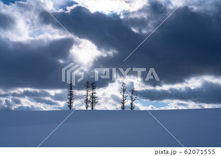 《北海道》マイルドセブンの丘・冬の美瑛 《北海道》マイルドセブンの丘・冬の美瑛 62071555