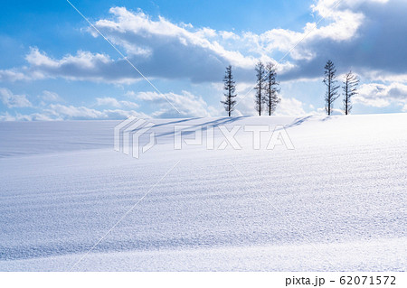 《北海道》マイルドセブンの丘・冬の美瑛 《北海道》マイルドセブンの丘・冬の美瑛 62071572