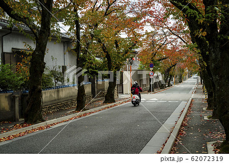 秋・紅葉する桜並木の坂道・大阪箕面 62072319