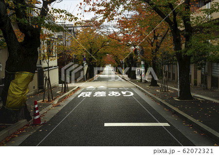 秋・紅葉する桜並木の坂道・大阪箕面 秋・紅葉する桜並木の坂道・大阪箕面 62072321