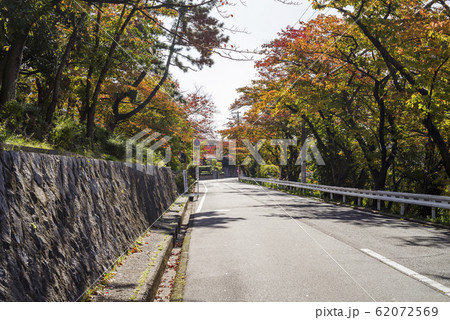 紅葉する桜並木の道・大阪豊中 紅葉する桜並木の道・大阪豊中 62072569
