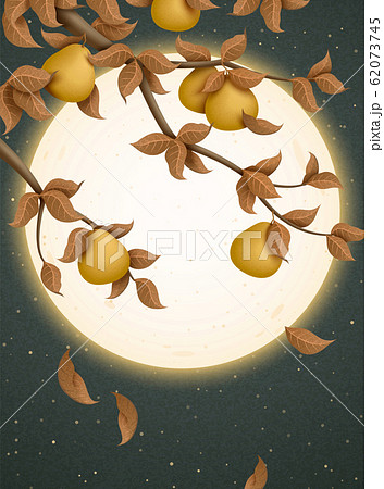 Mid autumn festival illustration Mid autumn festival illustration 62073745