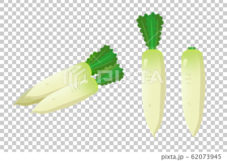 Radish Cartoon Stock Illustration 62073945 Pixta