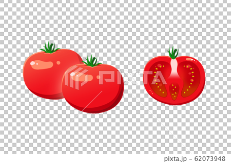 番茄卡通 62073948