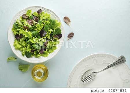 Salad green 62074631
