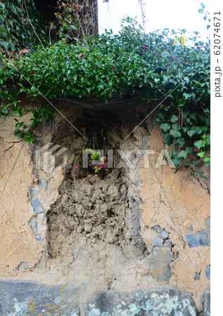 破れ壁（杵築城 城下町／大分県杵築市杵築） 62074671