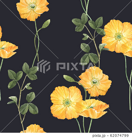 Beautiful vector floral summer seamless pattern with watercolor hand drawn yellow poppy wild flowers. Stock illustration. 62074799