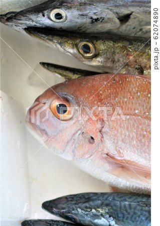 宅配の鮮魚 鯛 鯖 カマスの写真素材 [62074890] - PIXTA