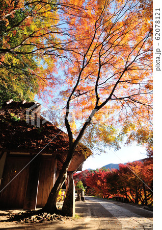 熊野古道　とがの木茶屋の紅葉 62078121