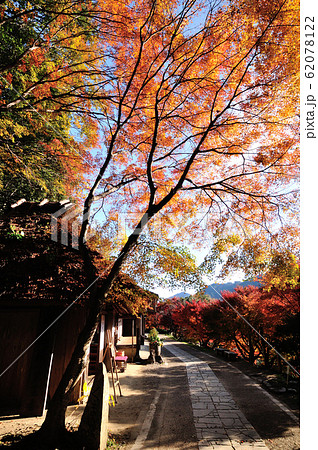 熊野古道 とがの木茶屋の紅葉 熊野古道 とがの木茶屋の紅葉 62078122