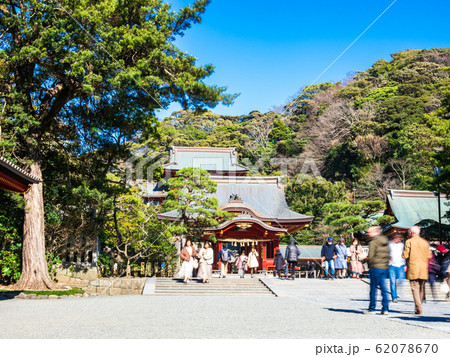鎌倉　鶴岡八幡宮　参道 62078670